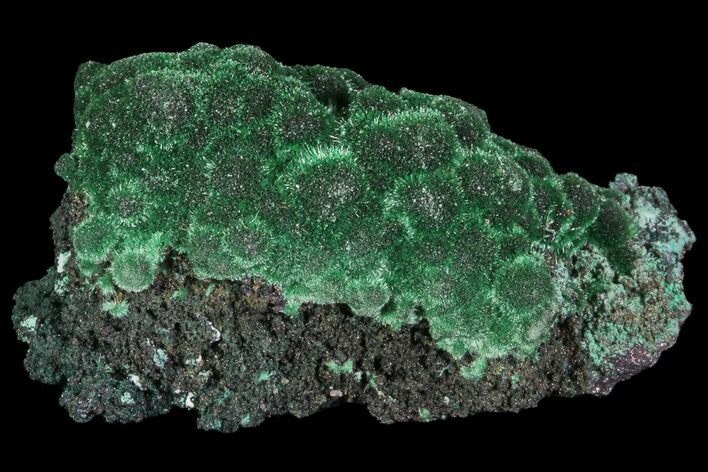 Fibrous Malachite Crystals - Congo #67446